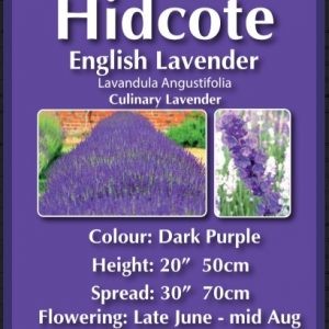 Hidcote 2l